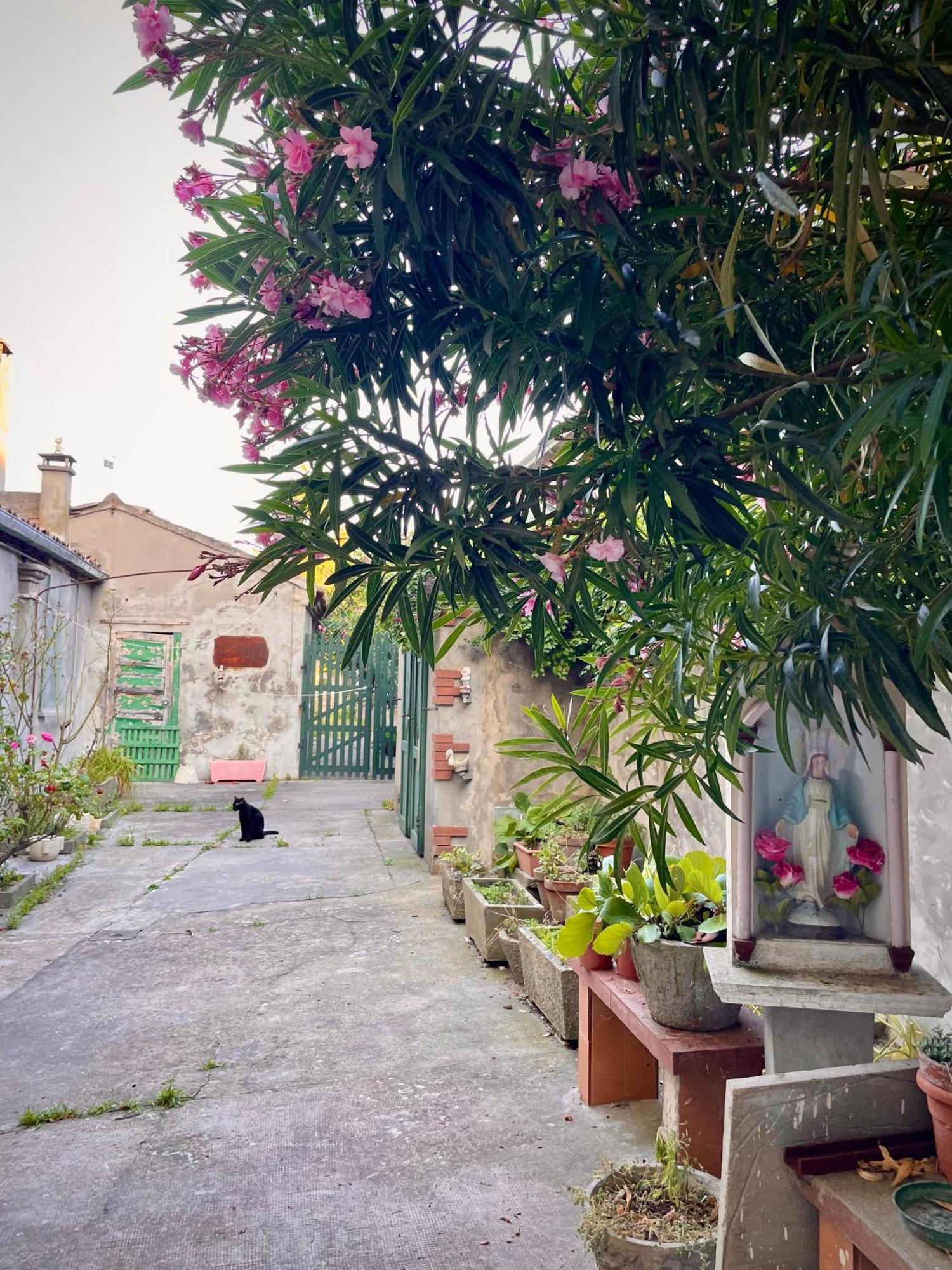 L'Encanto De Luna -Una Casa Autentica Comacchiese コマッキオ エクステリア 写真